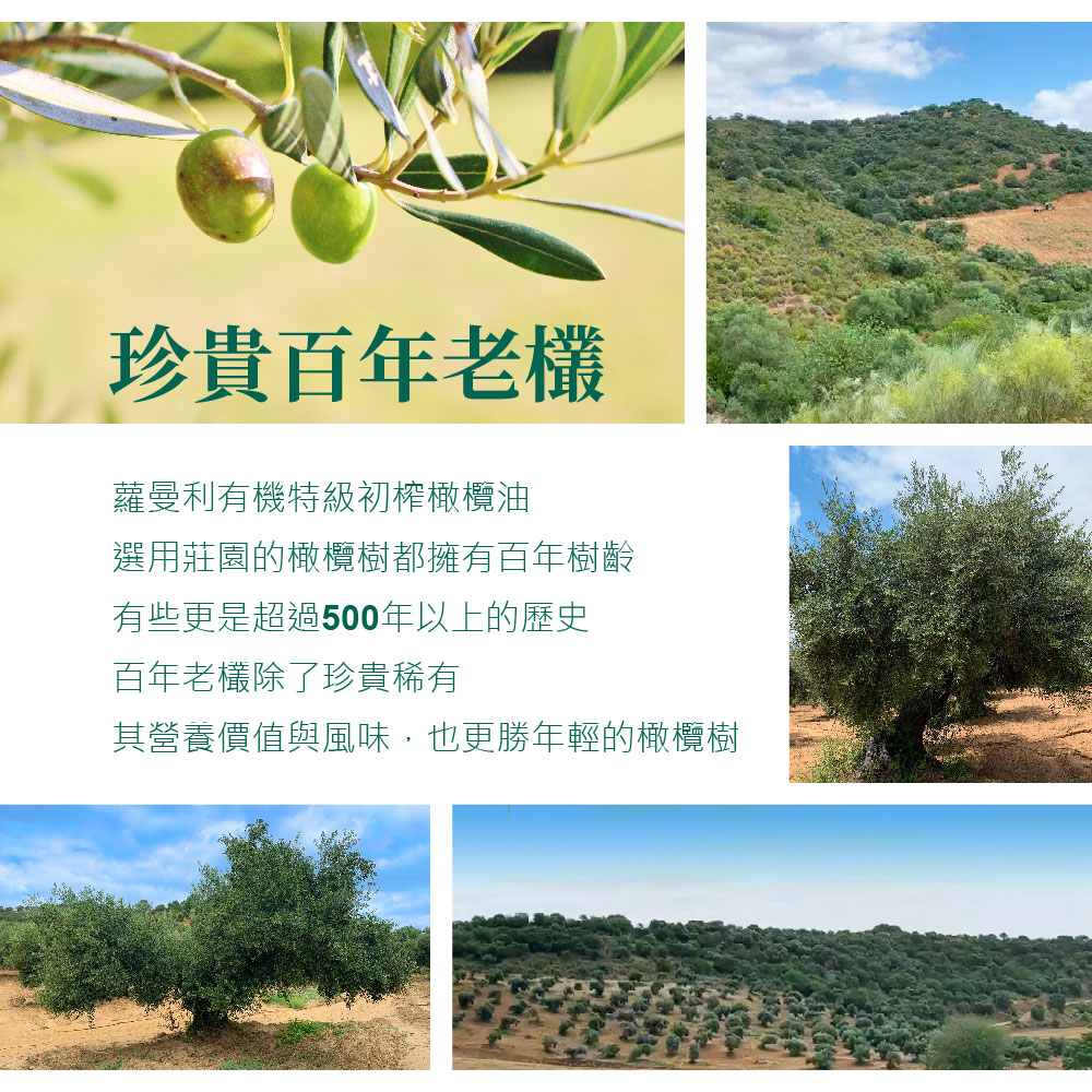 【囍瑞】蘿曼利有機冷壓特級100%橄欖油伴手禮(750ml - 2入禮盒裝)*2組, , large