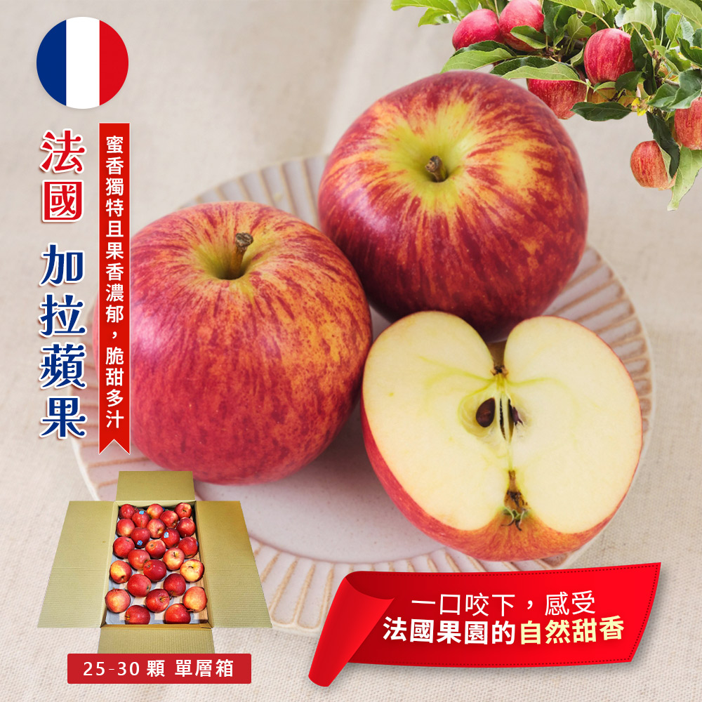[馥果FruitGo]法國進口 加拉蘋果 GALA-25-30顆大箱, , large