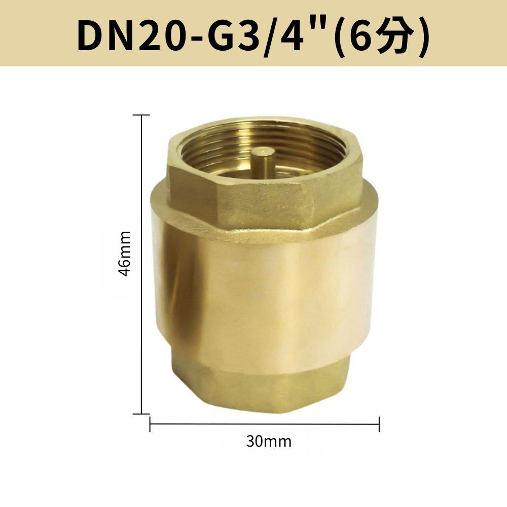 Silent check valve head 6 points 120 grams copper core check valve DN20, , large