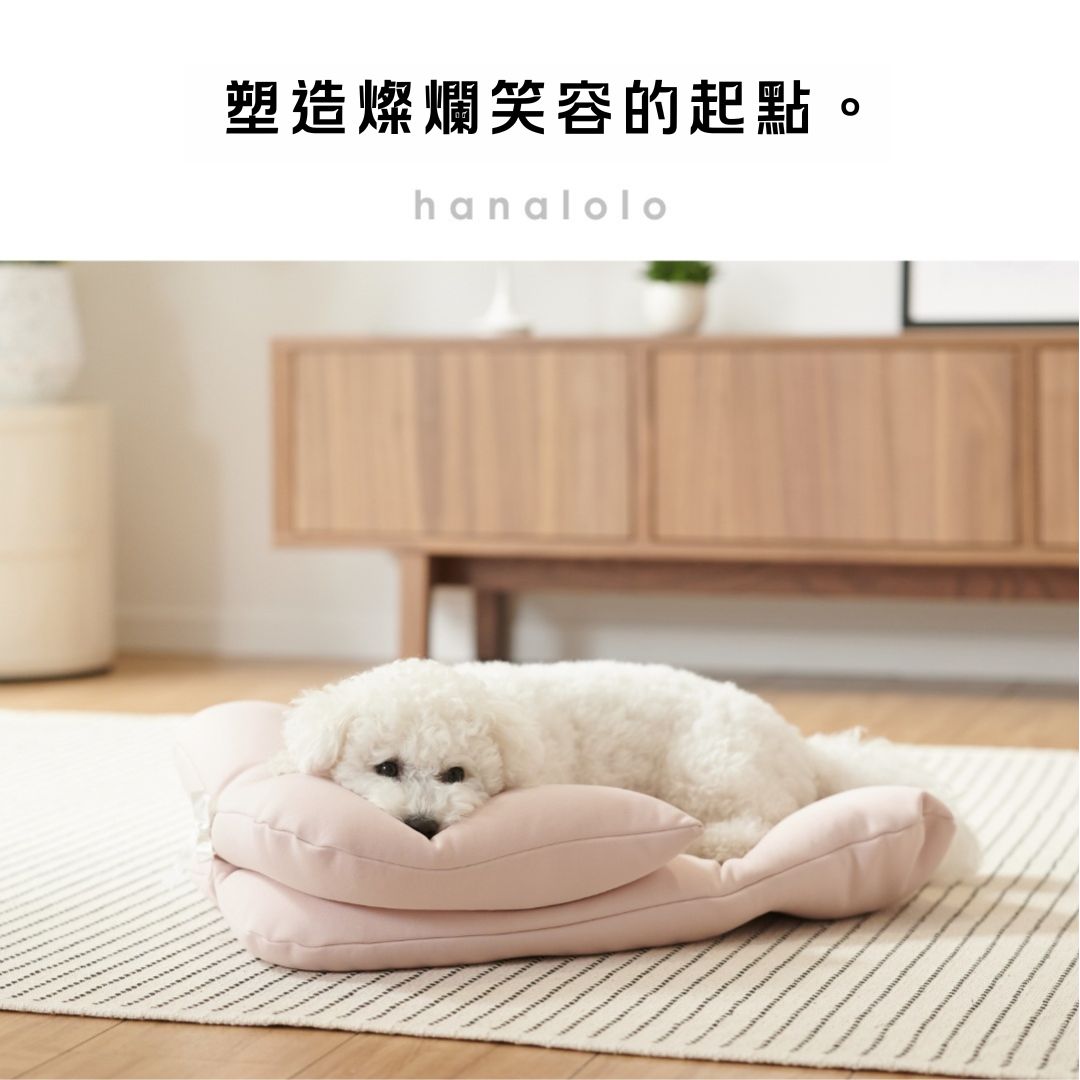 [日本hanalolo]寵物推車墊套組-多尺寸多色可選, , large