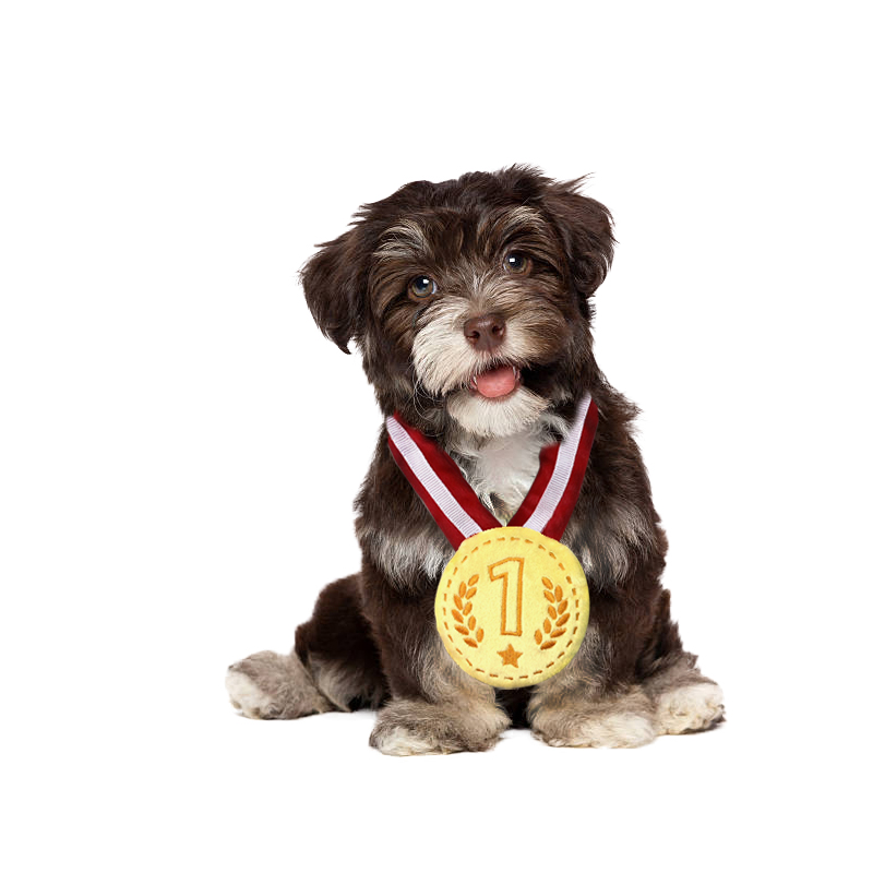 Perla gold medal plush toy, , large