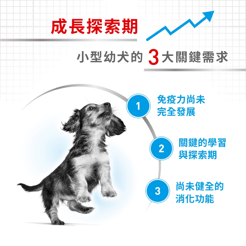 Royal Canin, , large