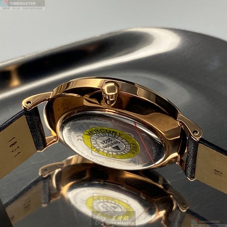 [TIMEMASTER] COACH watch, 36mm, CH00009, , large