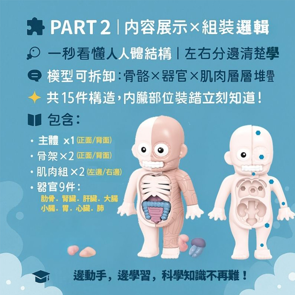 【啾愛你】兒童科教人體器官模型公仔, , large