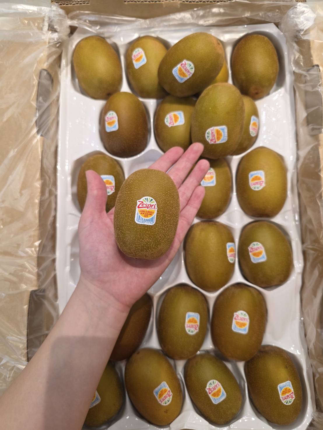 [芯鮮果]Zespri陽光-黃金奇異果, , large
