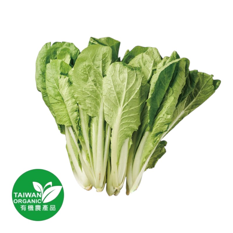 Organic Bok choy