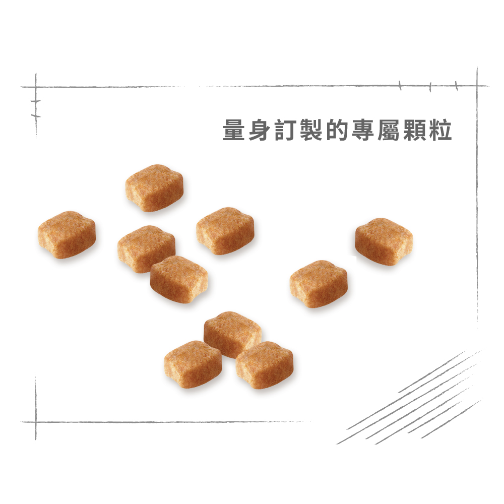 【拉拉寵物小舖】法國皇家 狗飼料 DSA 臘腸成犬專用乾糧 1.5公斤, , large