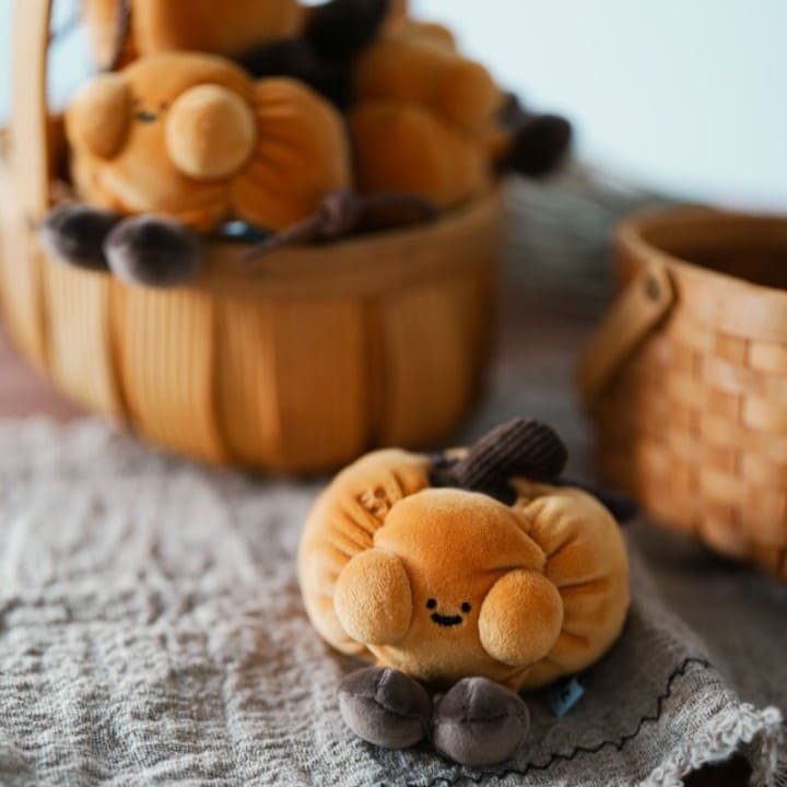 【際洋文化】迎南而上-南瓜, , large