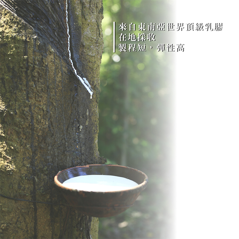 ［熊棉］自然呵護乳膠健康枕, , large