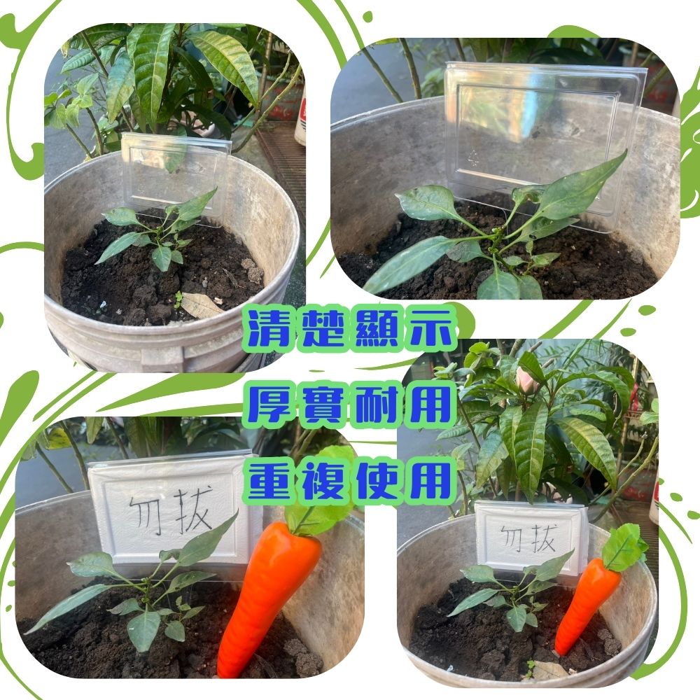 GS MALL 台灣製造 插地透明標示牌 插土立牌 園藝 植物標籤 指示牌 標示插牌 展示牌, , large