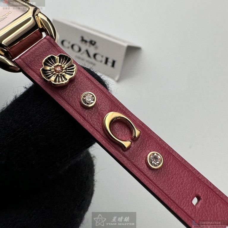 [TIMEMASTER] COACH watch, 18mm, 28mm, CH00239, , large