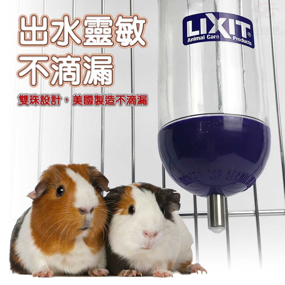 金德恩 GS MALL 美國製造 LIXIT 寵物兔鼠類雙珠飲水瓶 300cc 天竺鼠 蜜袋鼯 黃金鼠 兔/鼠類 雙珠飲水瓶, , large