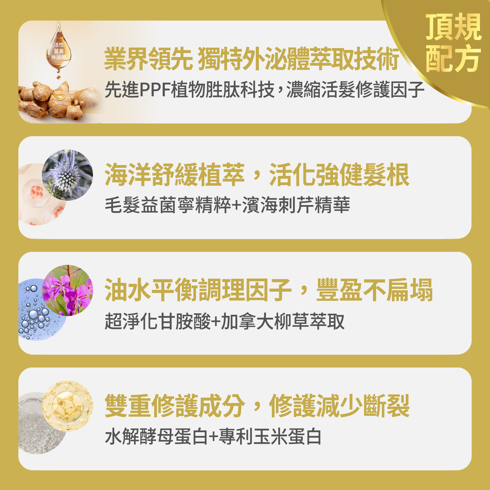 【FJ豐傑生醫】3D薑黃胜肽髮根活化洗髮精-250ml(強健髮根45天有感 胺基酸x無矽靈), , large