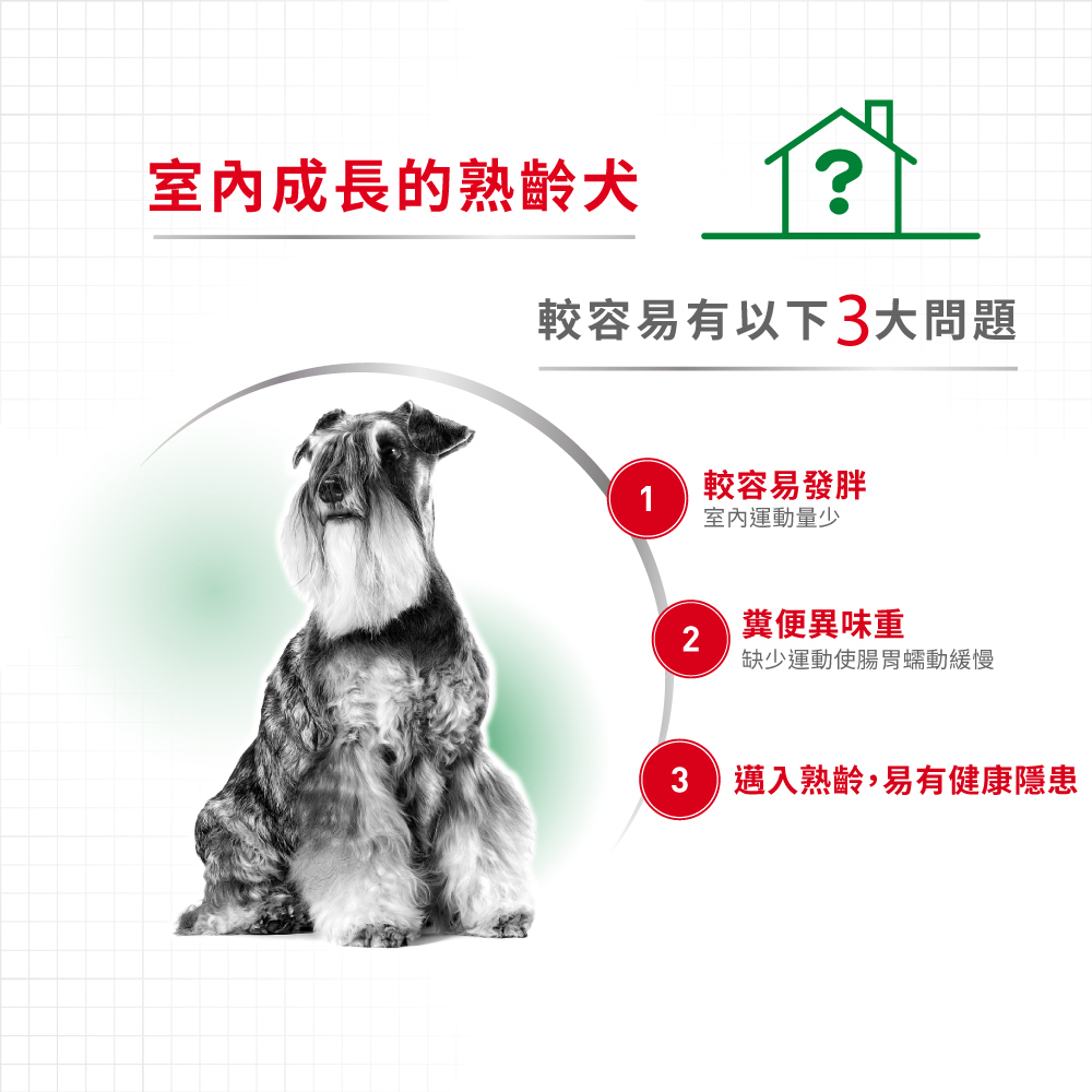 Royal Canin法國皇家小型室內熟齡犬8+MNINA+8, , large