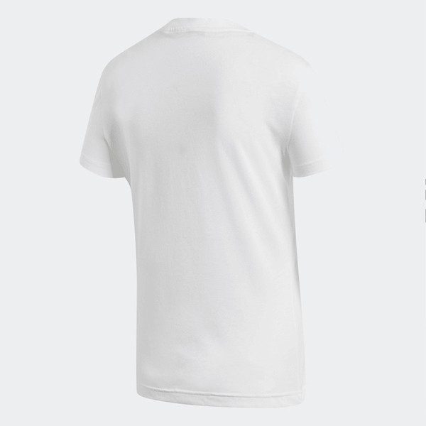 DZ0013, , large
