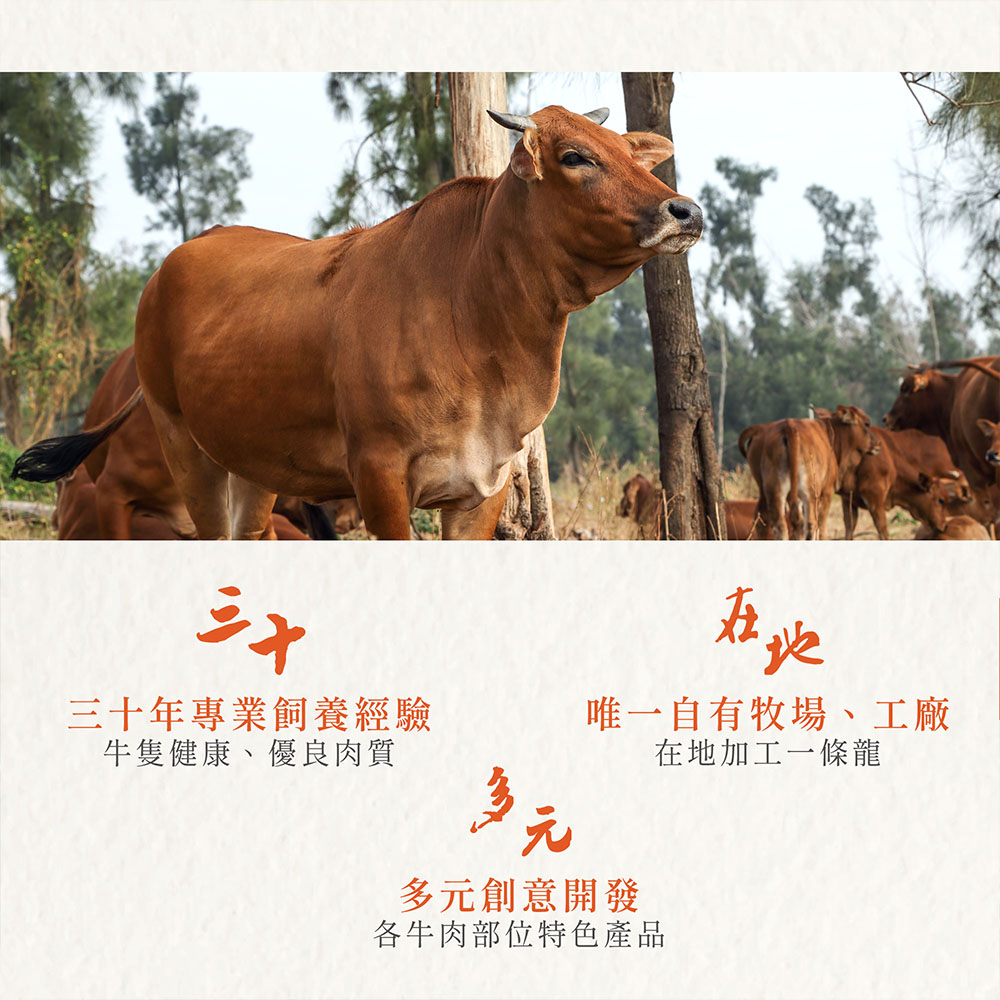 XO Sauce Beef Rice Dumplings, , large