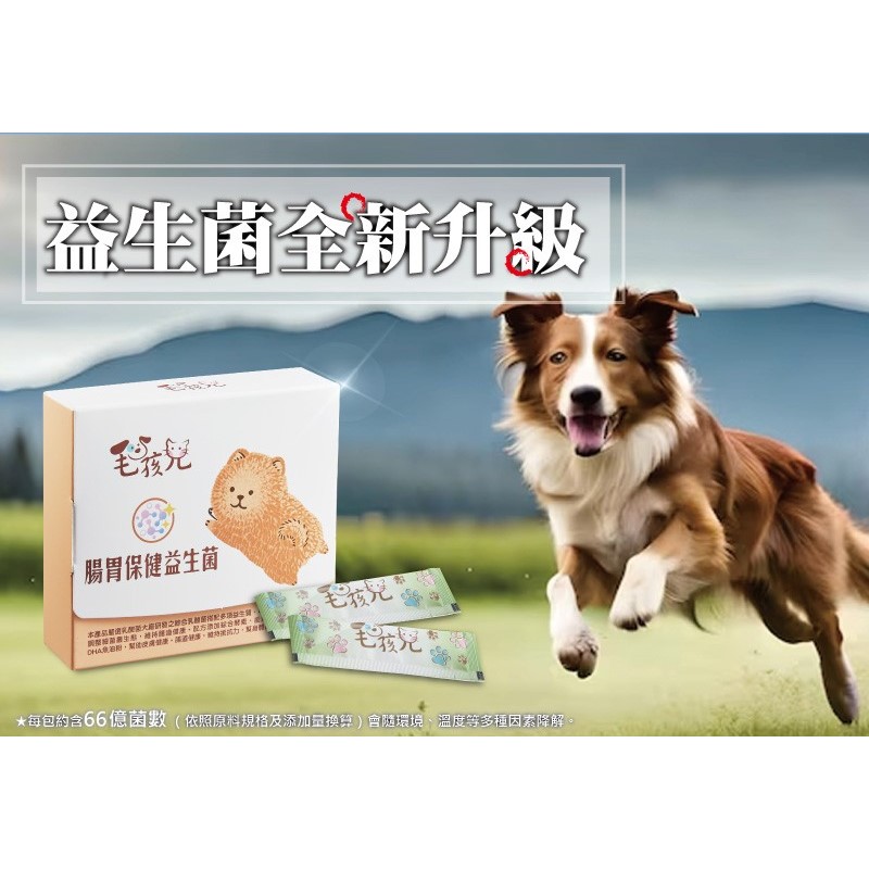 [品毅]毛孩兒腸胃保健益生菌粉包, , large
