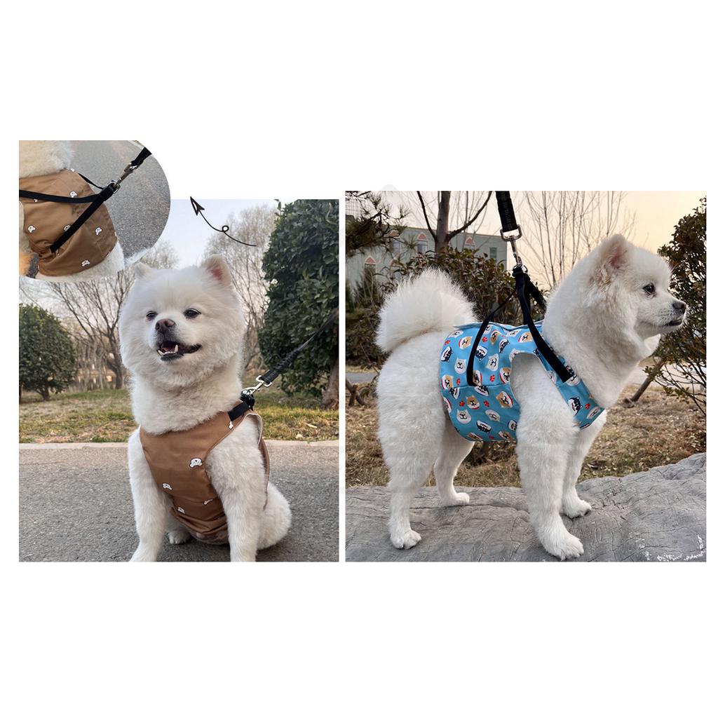 【寵愛生活本舖】寵物夏季可牽引式降溫冰肚兜+圍脖套裝 冰馬甲 寵物冰衣, , large