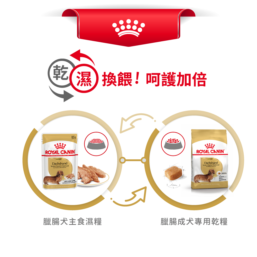 【拉拉寵物小舖】法國皇家 狗飼料 DSA 臘腸成犬專用乾糧 1.5公斤, , large