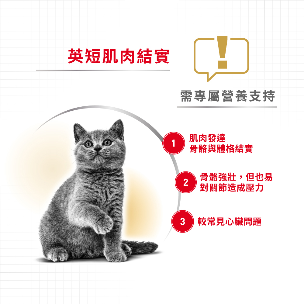 【Royal Canin法國皇家】英國短毛成貓BS34, , large