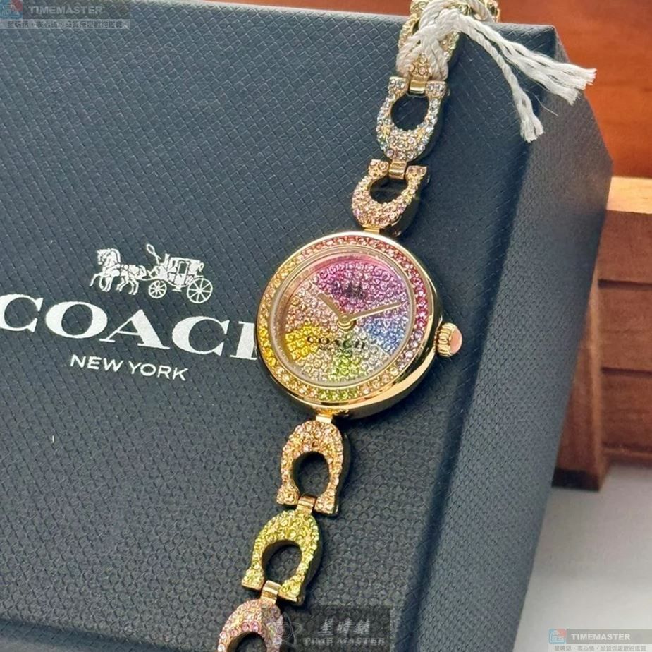 [TIMEMASTER] COACH watch, 24mm, CH00186, , large
