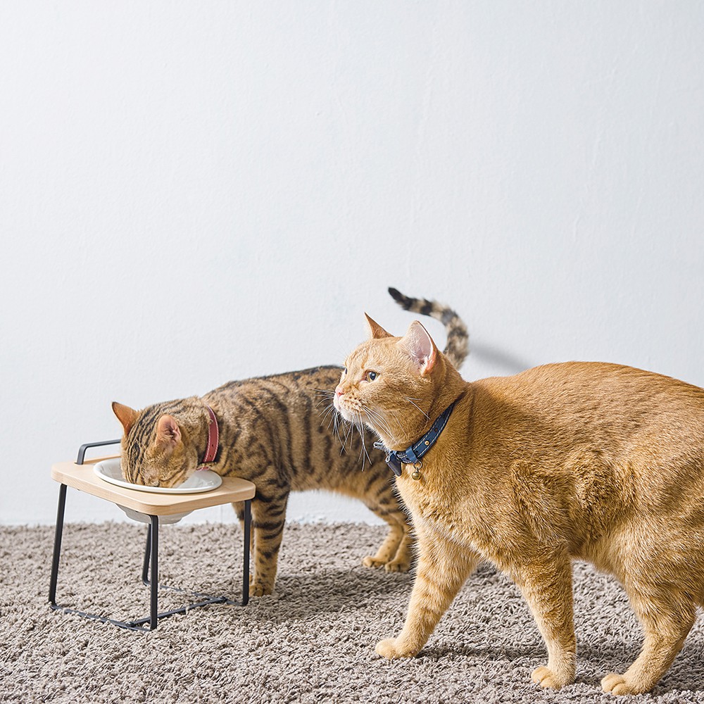 【paipaipets】 Natural Wood Elevated Pet Bowl - S/Maple, , large