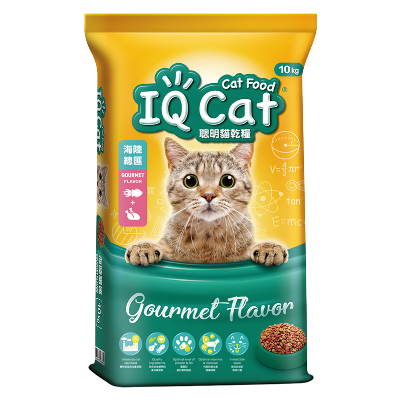 IQ Cat, , large