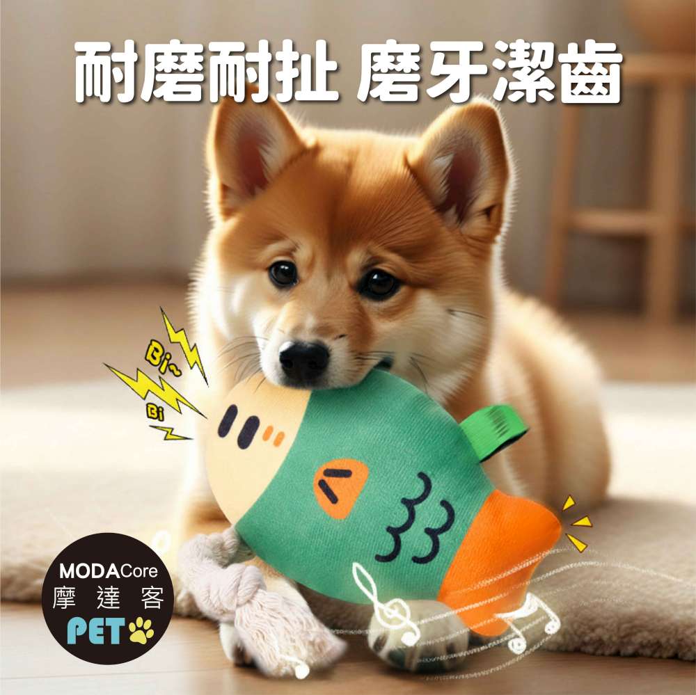 PET, , large