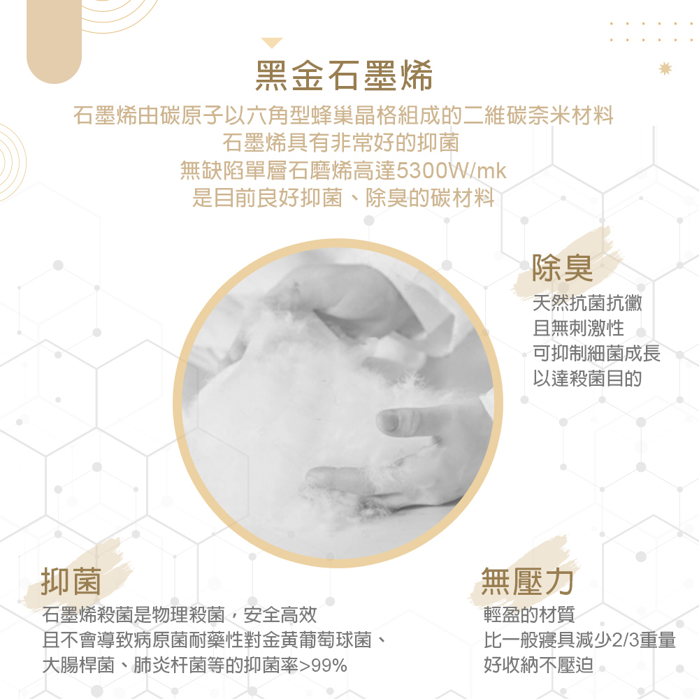 【Galatea葛拉蒂】台灣製造石墨烯高彈力枕 2入組, , large