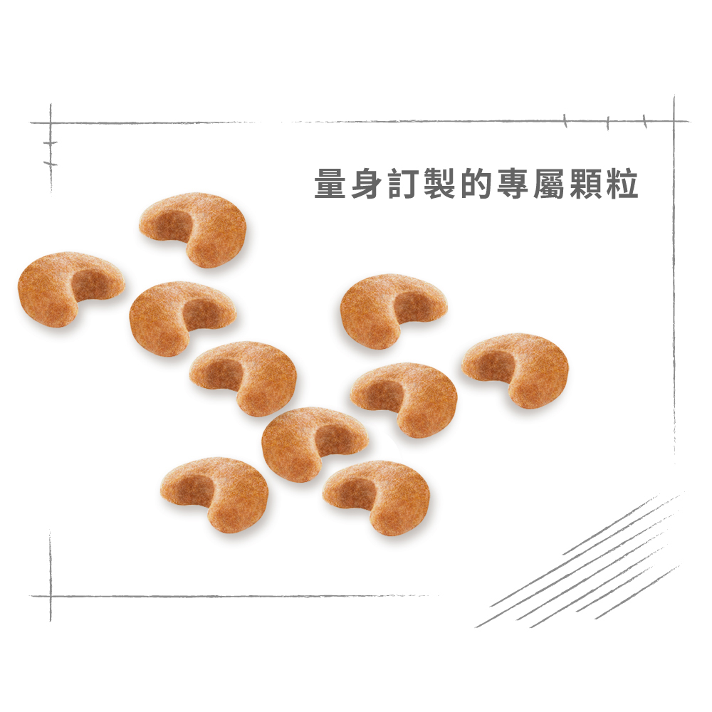 【Royal Canin法國皇家】法國鬥牛成犬FBDA, , large